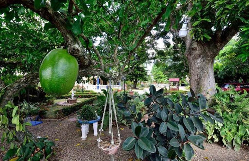 Sana El Jardin Secreto Vandrerhjem Santiago De Los Caballeros Eksteriør bilde